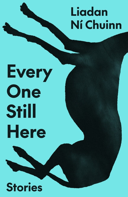 Every One Still Here: Stories -- Liadan Ní Chuinn, Paperback