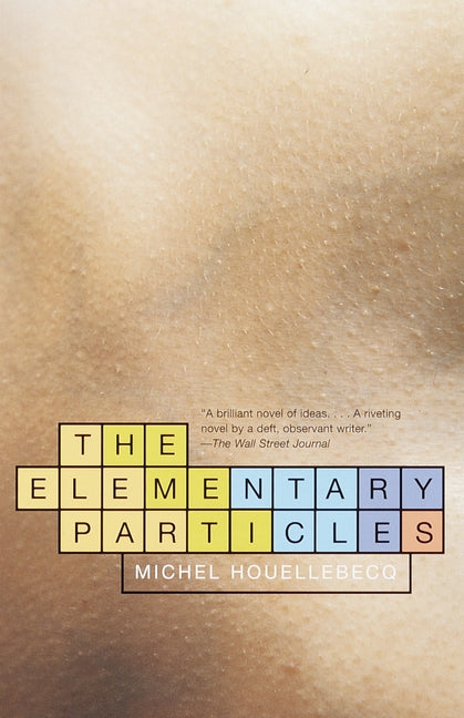 The Elementary Particles -- Michel Houellebecq, Paperback