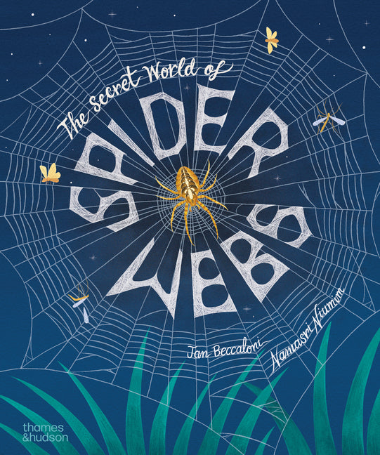 The Secret World of Spiderwebs -- Namasri Niumim, Hardcover