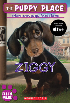 Ziggy (the Puppy Place #21): Volume 21 -- Ellen Miles, Paperback