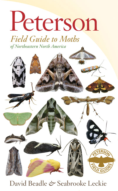 Peterson Field Guide to Moths of Northeastern North America -- David Beadle, Paperback