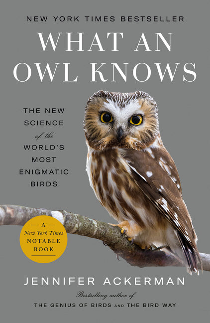 What an Owl Knows: The New Science of the World's Most Enigmatic Birds -- Jennifer Ackerman, Paperback