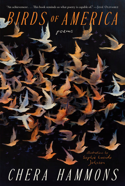 Birds of America: Poems -- Chera Hammons, Paperback