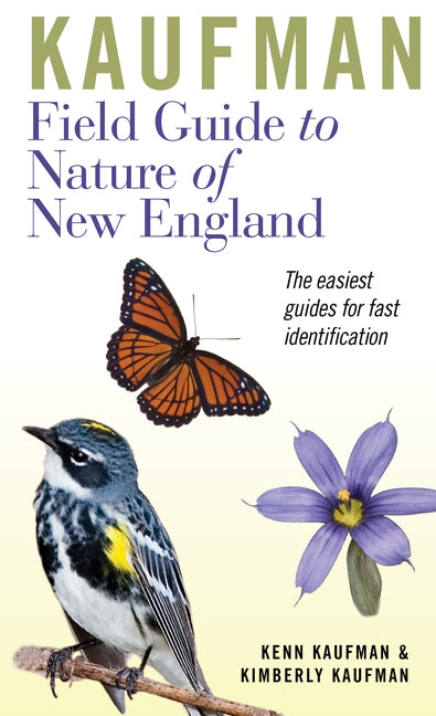 Kaufman Field Guide to Nature of New England -- Kenn Kaufman, Paperback