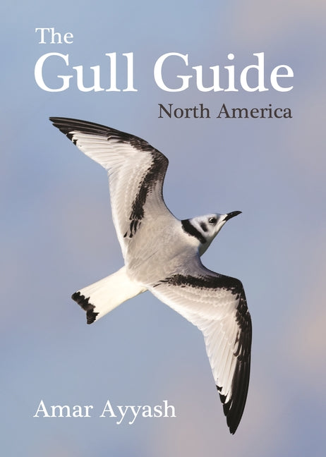 The Gull Guide: North America -- Amar Ayyash, Paperback