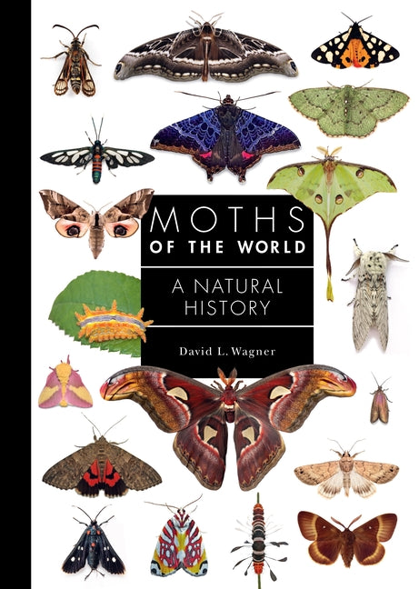 Moths of the World: A Natural History -- David L. Wagner, Hardcover