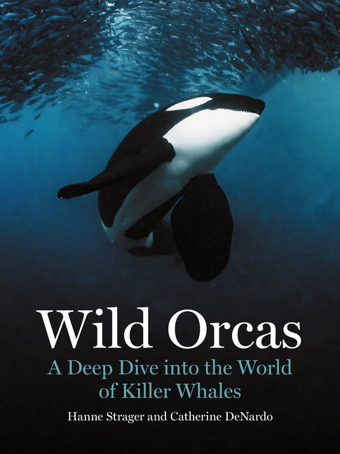 Wild Orcas: A Deep Dive Into the World of Killer Whales -- Hanne Strager, Hardcover