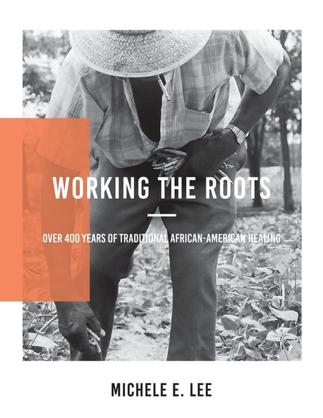 Working The Roots: Over 400 Years of Traditional African American Healing -- Michele Elizabeth Lee, Paperback