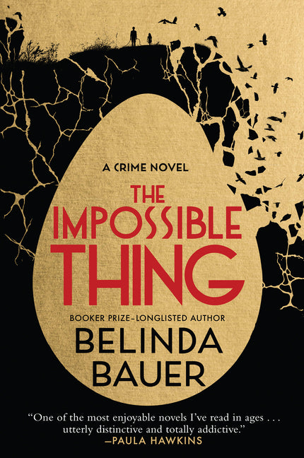 The Impossible Thing -- Belinda Bauer, Hardcover