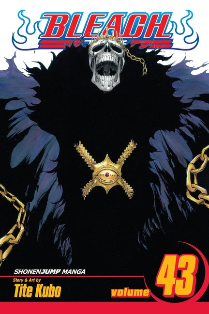Bleach, Vol. 43: Kingdom of Hollows -- Tite Kubo, Paperback