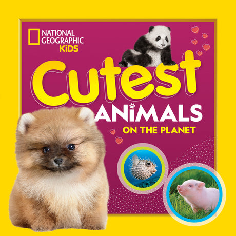 Cutest Animals on the Planet -- National Geographic Kids, Paperback