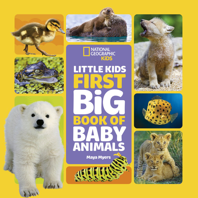 National Geographic Little Kids First Big Book of Baby Animals -- Maya Myers, Hardcover