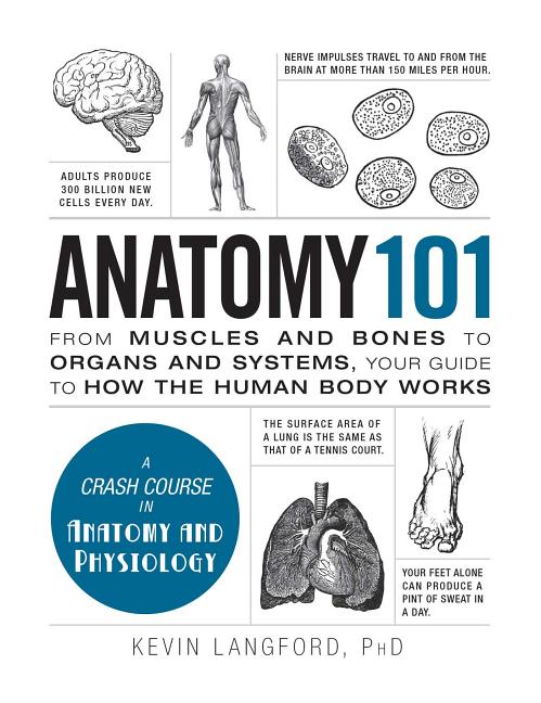 Anatomy 101: From Muscles and Bones to Organs and Systems, Your Guide to How the Human Body Works -- Kevin Langford, Hardcover
