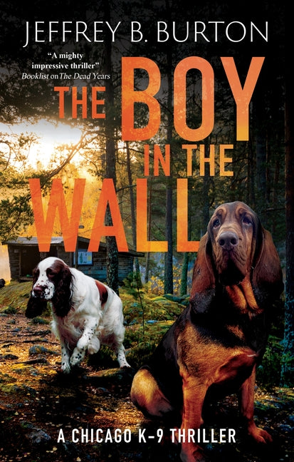 The Boy in the Wall -- Jeffrey B. Burton, Hardcover