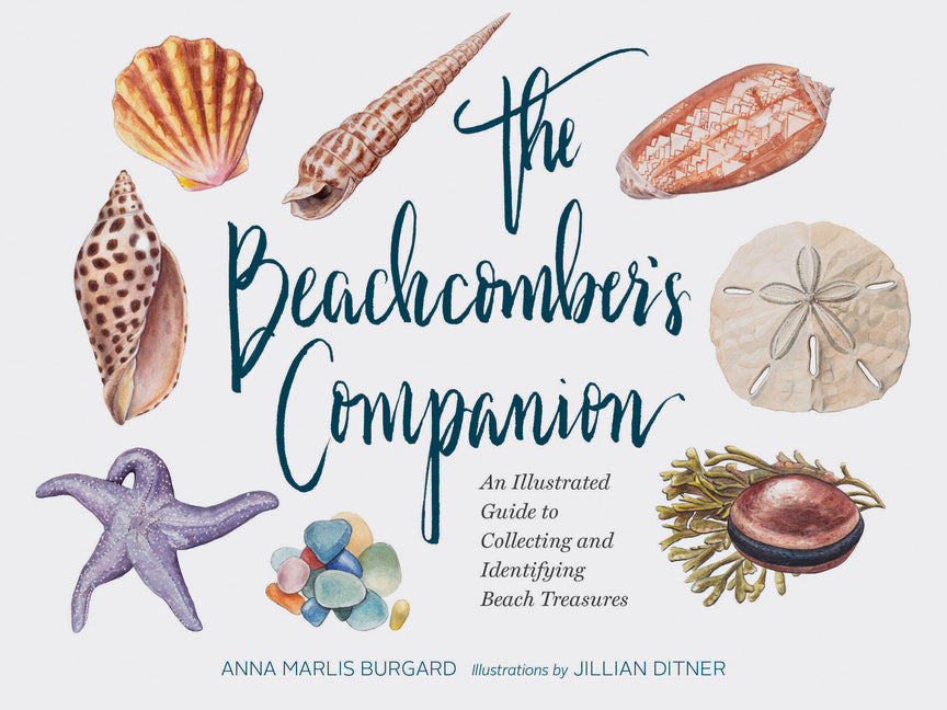 The Beachcomber's Companion: An Illustrated Guide to Collecting and Identifying Beach Treasures -- Anna Marlis Burgard, Hardcover
