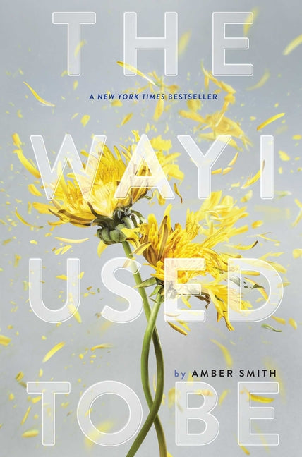 The Way I Used to Be -- Amber Smith, Hardcover