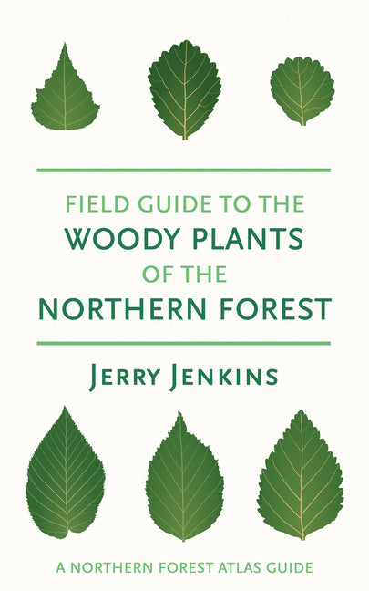 Field Guide to the Woody Plants of the Northern Forest -- Jerry Jenkins, Paperback