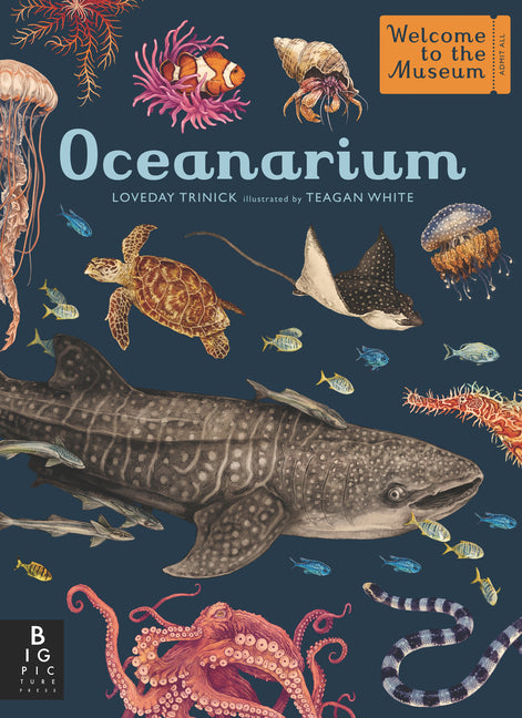 Oceanarium: Welcome to the Museum -- Loveday Trinick, Hardcover
