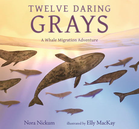 Twelve Daring Grays: A Whale Migration Adventure -- Nora Nickum, Hardcover