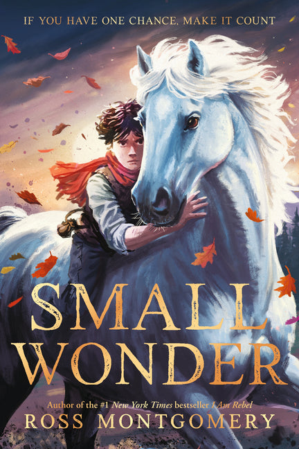 Small Wonder -- Ross Montgomery, Paperback