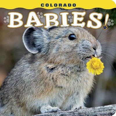 Colorado Babies! -- Steph Lemann, Board Book