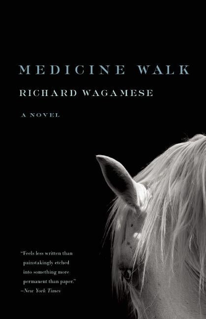 Medicine Walk -- Richard Wagamese, Paperback