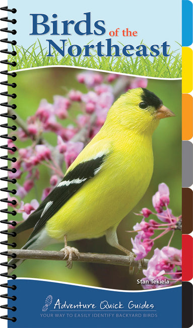 Birds of the Northeast: Your Way to Easily Identify Backyard Birds -- Stan Tekiela, Spiral