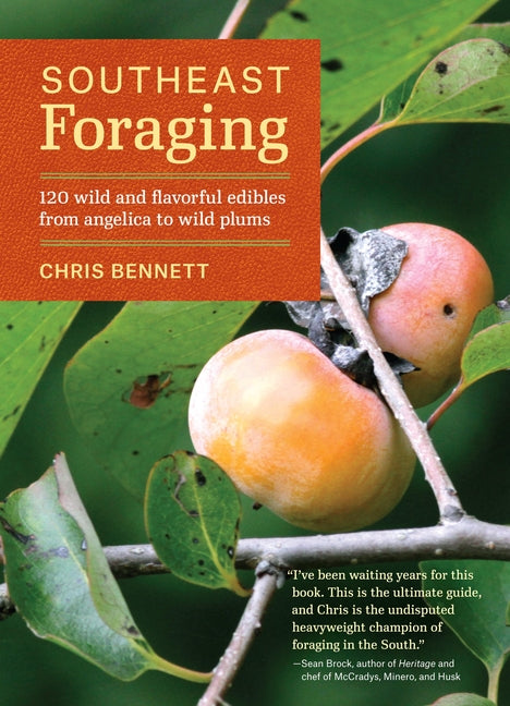 Southeast Foraging: 120 Wild and Flavorful Edibles from Angelica to Wild Plums -- Chris Bennett, Paperback