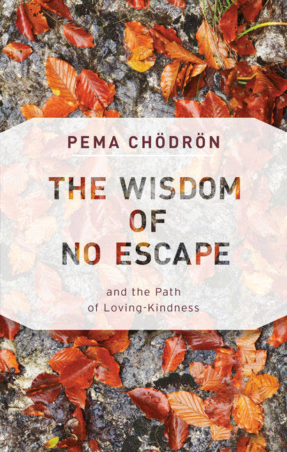 The Wisdom of No Escape: And the Path of Loving-Kindness -- Pema Chodron, Paperback