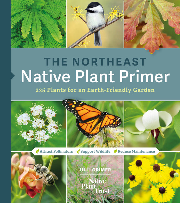 The Northeast Native Plant Primer: 235 Plants for an Earth-Friendly Garden -- Uli Lorimer, Paperback