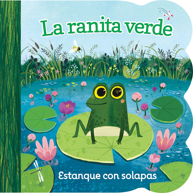 La Ranita Verde / Little Green Frog (Spanish Edition) -- Ginger Swift, Board Book