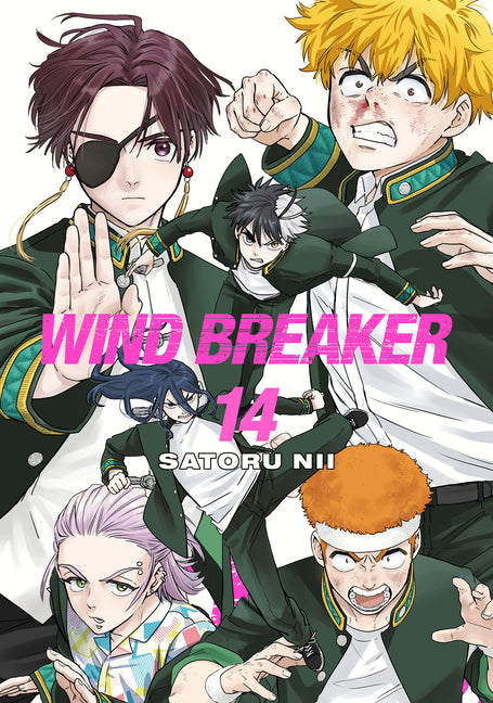 Wind Breaker 14 -- Satoru Nii, Paperback