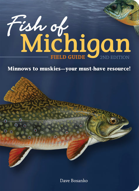 Fish of Michigan Field Guide -- Dave Bosanko, Paperback
