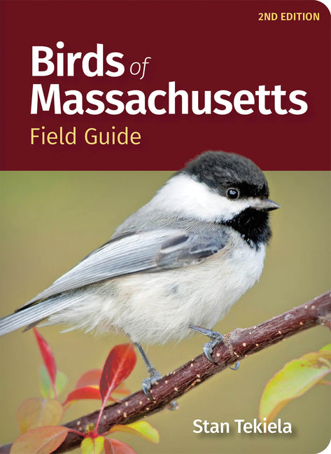 Birds of Massachusetts Field Guide -- Stan Tekiela, Paperback