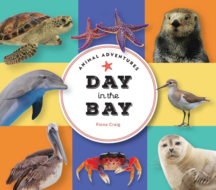 Animal Adventures: Day in the Bay -- Fiona Craig, Board Book