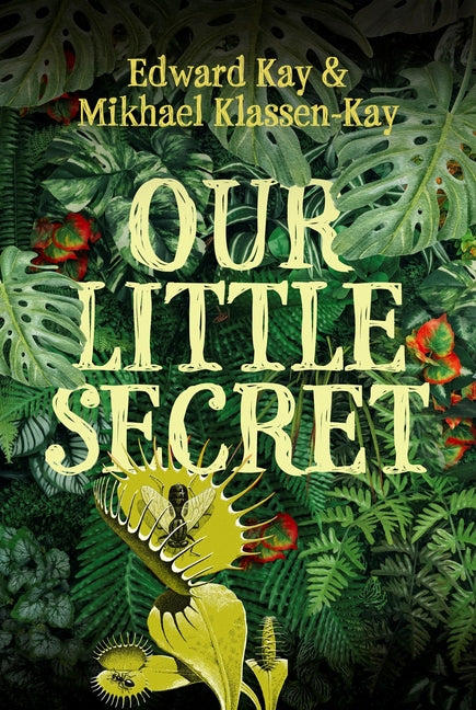 Our Little Secret -- Edward Kay, Paperback