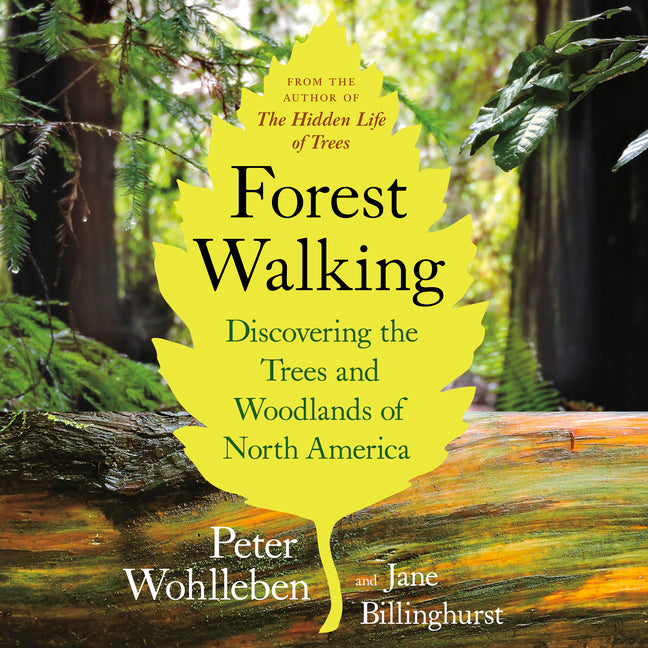 Forest Walking: Discovering the Trees and Woodlands of North America -- Peter Wohlleben, Paperback