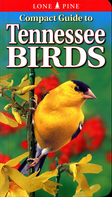 Compact Guide to Tennessee Birds -- Michael Roedel, Paperback