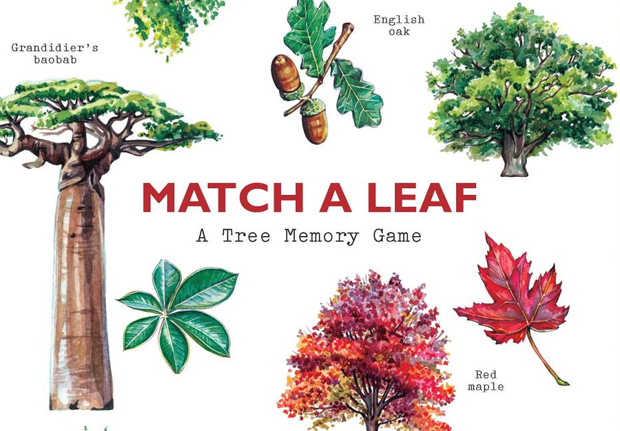 Match a Leaf: A Tree Memory Game -- Tony Kirkham, Board Games