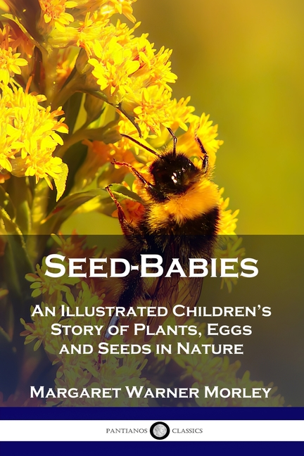 Seed-Babies: An Illustrated Children's Story of Plants, Eggs and Seeds in Nature -- Margaret Warner Morley, Paperback