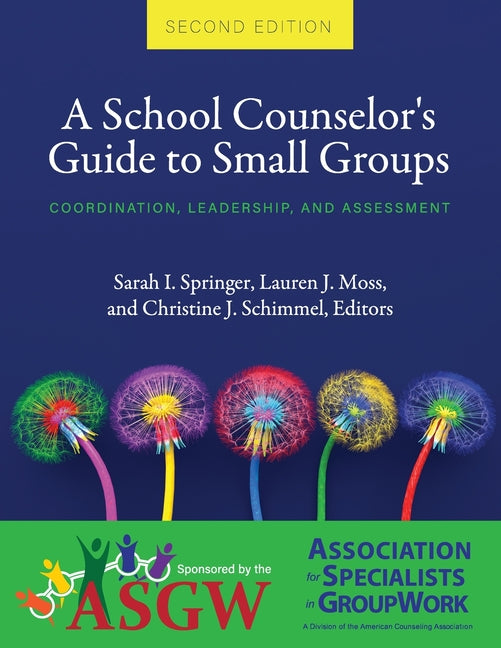 A School Counselor's Guide to Small Groups: Coordination, Leadership, and Assessment -- Sarah I. Springer, Paperback