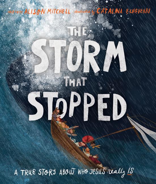 The Storm That Stopped Storybook: A True Story about Who Jesus Really Is -- Alison Mitchell, Hardcover