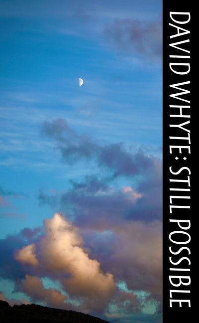 Still Possible -- David Whyte, Paperback