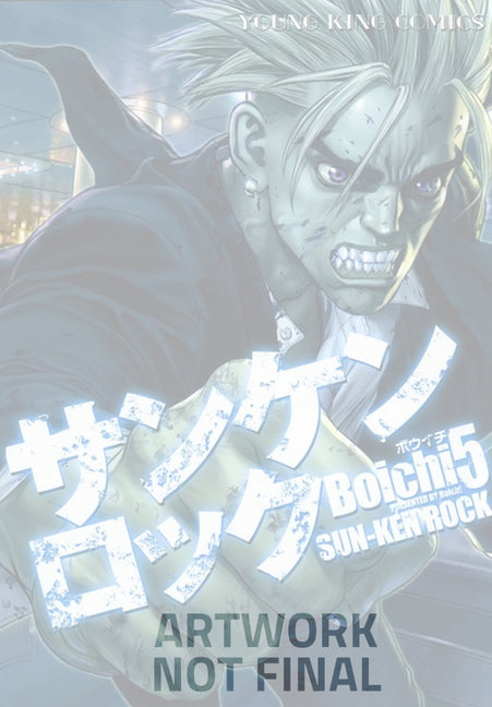 Sun-Ken Rock (Perfect Edition) Vol. 3 -- Boichi, Paperback
