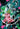 Zom 100: Bucket List of the Dead, Vol. 7 by Aso, Haro