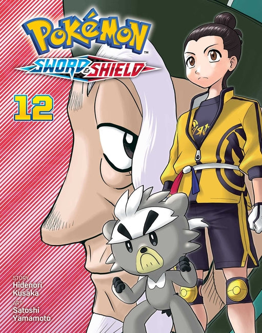 Pokémon: Sword & Shield, Vol. 12 -- Hidenori Kusaka, Paperback