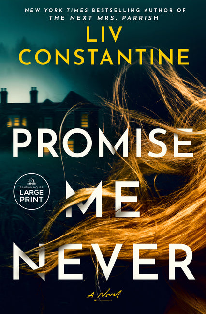 Promise Me Never -- LIV Constantine, Paperback