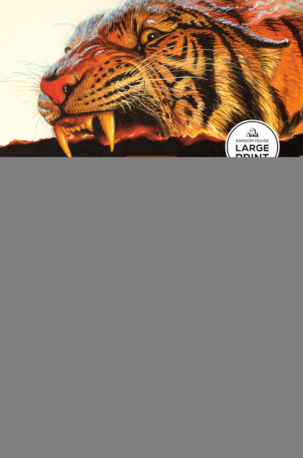 Thrilling Tales of Modern Men: Stories -- Danny McBride, Paperback