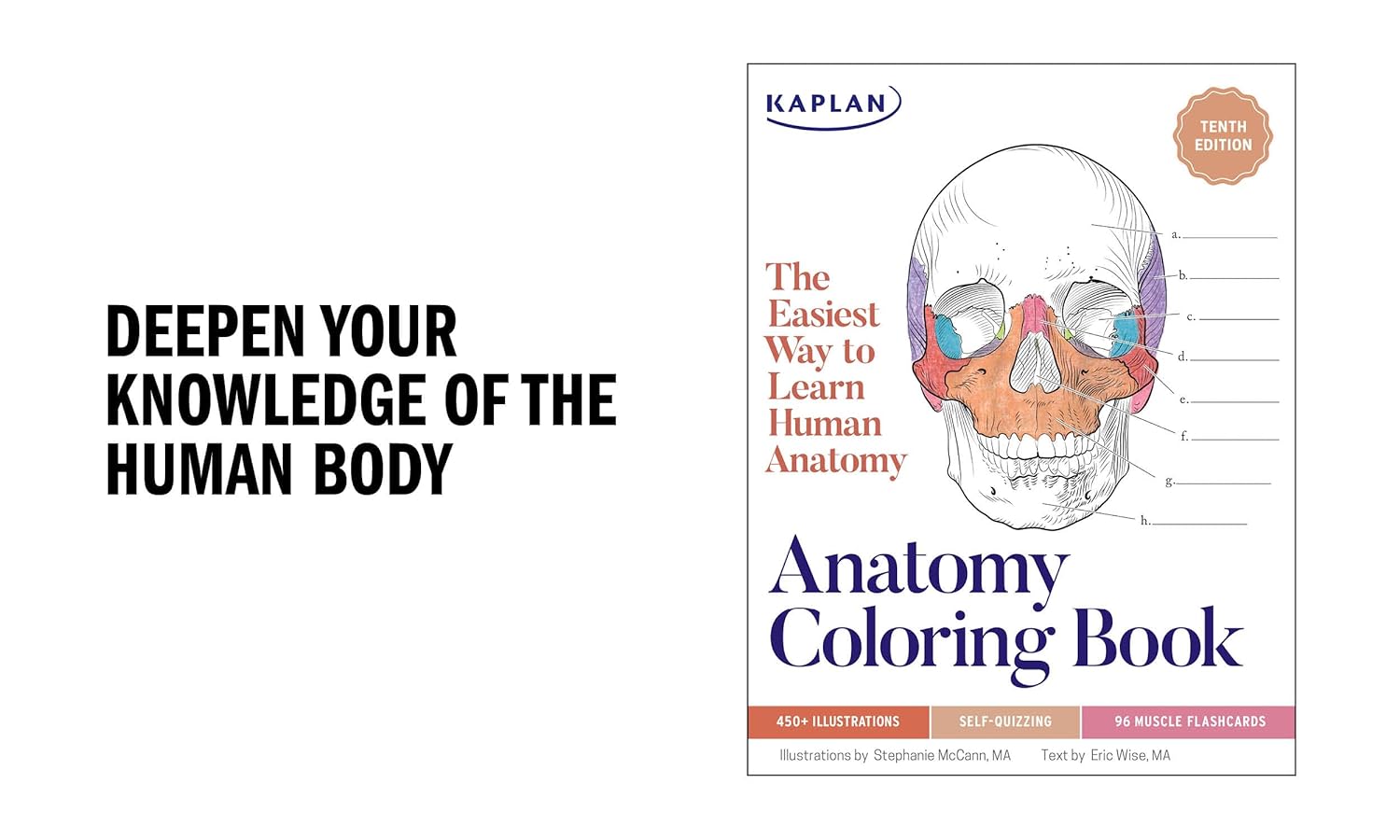 Anatomy Coloring Book with 450+ Realistic Medical Illustrations with Quizzes for Each -- Stephanie McCann, Paperback