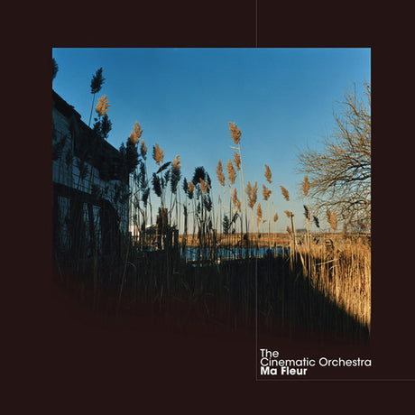 Ma Fleur, Cinematic Orchestra, LP